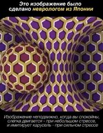 IMG_5073.jpeg