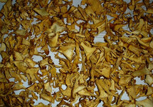 sush22-2180375718.jpg