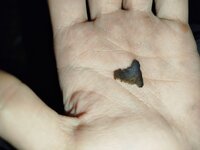 IMG_20250915_013029.jpg