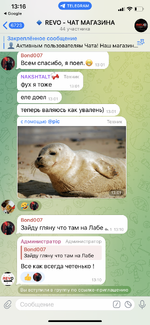6F076A6E-6DE0-456B-B8C2-8C2CD0E79020.png