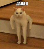 IMG_5091.jpeg