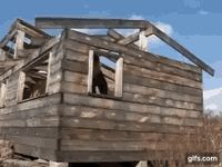 IMG_5094.gif