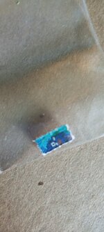 1000007169.jpg