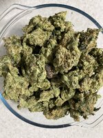 Blue Berry OG 1.jpg