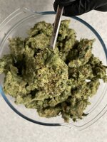 Blue Berry OG.jpg