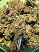 Blueberry OG 1.jpg