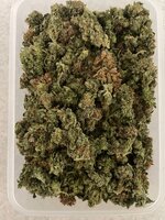 Colorado Cookies 1.jpg