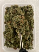 Colorado Cookies.jpg