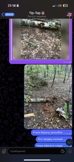 IMG_1142.png