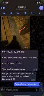 IMG_5869.jpeg