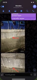 IMG_5884.jpeg