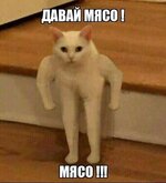IMG_5111.jpeg