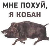 IMG_5115.jpeg