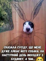 1758137989139.png