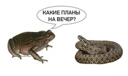 IMG_5117.jpeg