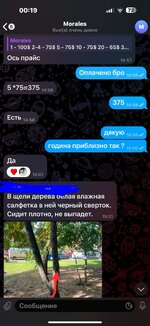 IMG_4148.jpeg