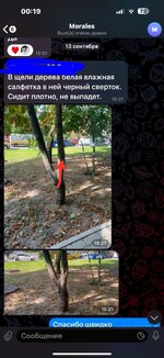 IMG_4149.jpeg