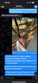 IMG_4154.jpeg