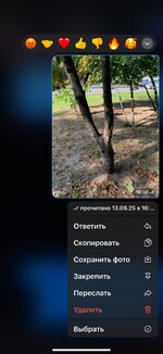 IMG_4159.jpeg