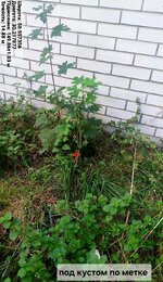 IMG_20250918_222255_238.jpg