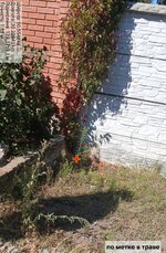 20250916-145631.jpg