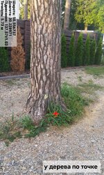 IMG_20250918_222230_421.jpg