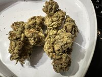 IMG_2596.jpeg