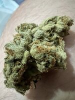 IMG_2598.jpeg