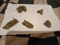 IMG_20250918_215531.jpg