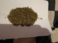 IMG_20250918_220426.jpg