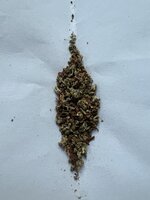 IMG_3171.jpeg