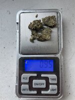 IMG_2990.jpeg