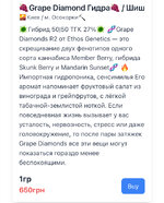 IMG_1096.jpeg