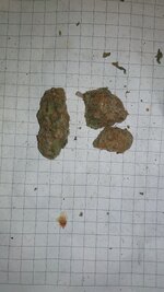Cookies Kush.jpg
