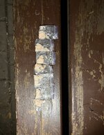 IMG_6637.jpg