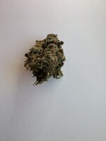IMG_0789.jpeg