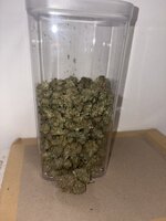 IMG_6282.jpeg