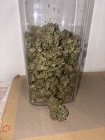 IMG_6281.jpeg