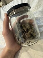 IMG_4333.jpeg