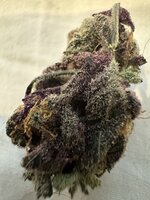 IMG_4335.jpeg