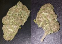 Bruce Banner from Grinder Market.jpg