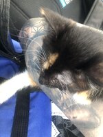 IMG_1880.jpeg