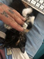 IMG_1920.jpeg
