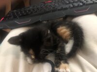 IMG_1957.jpeg