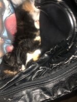 IMG_1958.jpeg