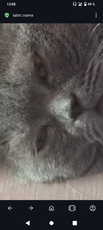 Screenshot_20240627-130841.png