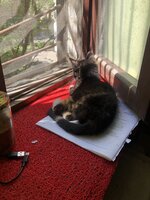 IMG_2077.jpeg