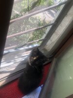 IMG_2074.jpeg