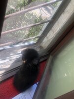 IMG_2073.jpeg