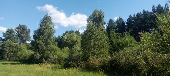 IMG_20240706_095704.jpg